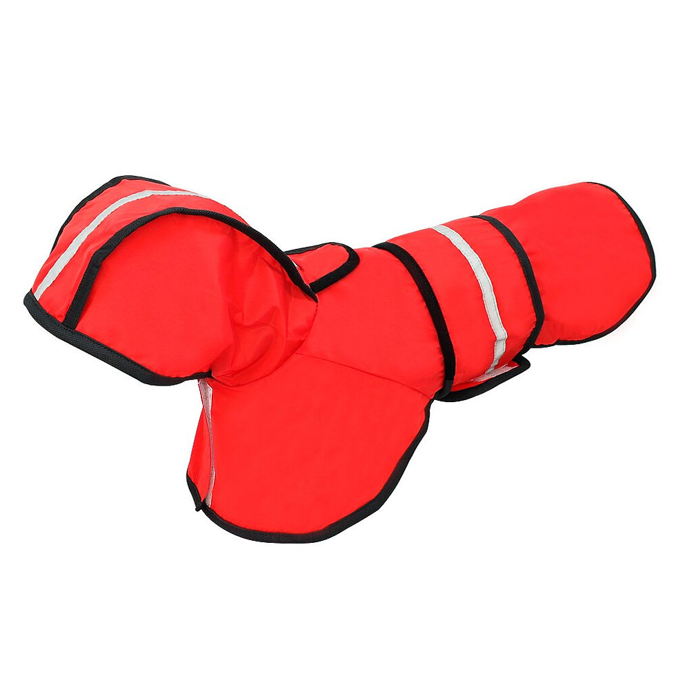 Thumbnail:  Dog Raincoat Waterproof Reflective Hoodies for Small Medium Large Dogs S-2XL