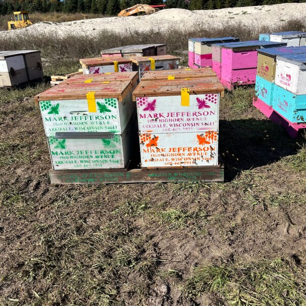 Thumbnail: Beehive that has info added with stencil