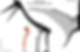 Using Wing of a different species with an assumed shape with no other bones
