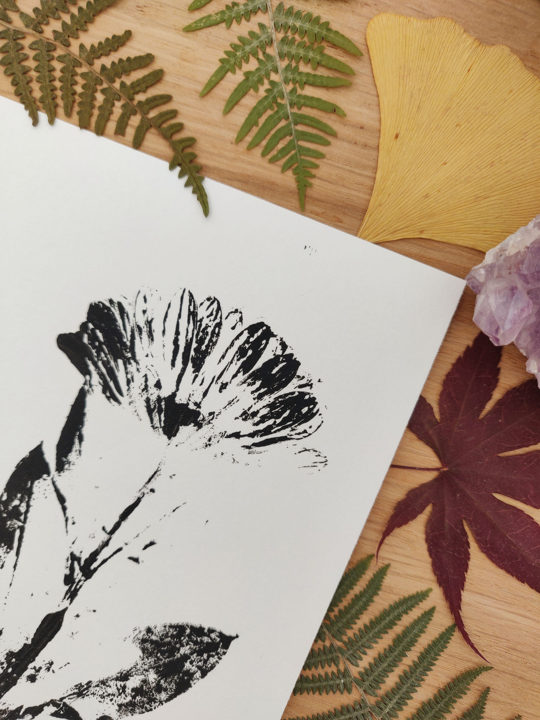 Affiche d'empreinte de plante Le Calendula, peinture acrylique, fleur naturelle, fleur de soucis, pièce unique