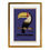 Thumbnail: Toucan