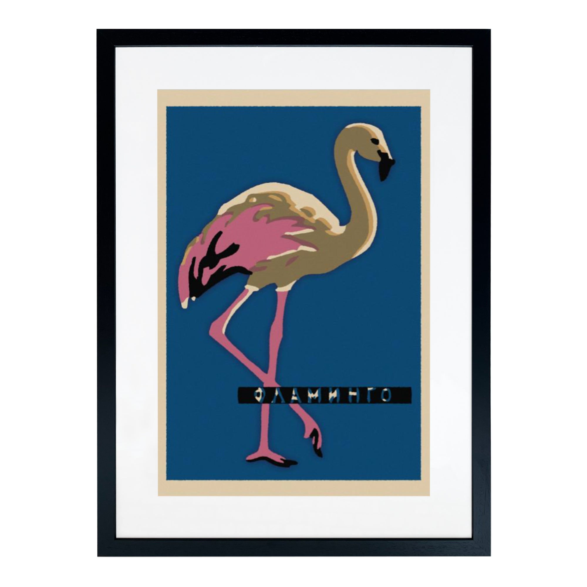 Flamingo