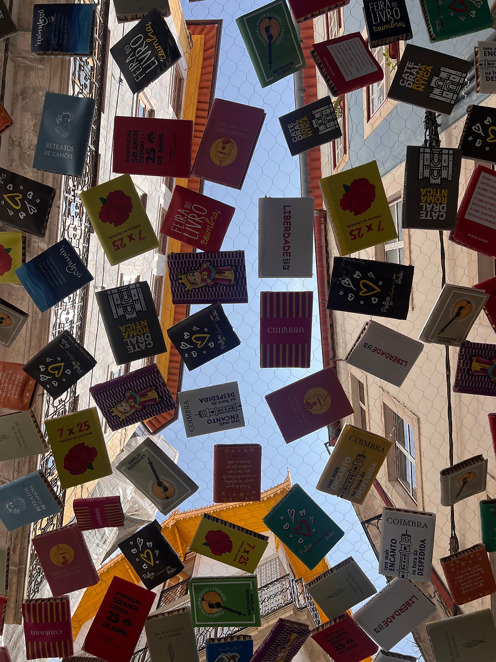 book art in coimbra portugal