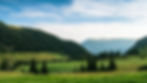 Green Landscape_edited.jpg