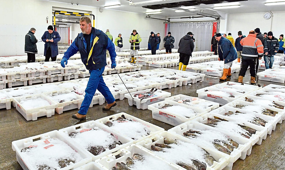 Fraserburgh fish market