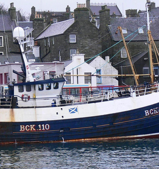 regent bird 3 harbour