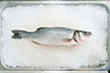 buy whole fish seafood wholesale uk