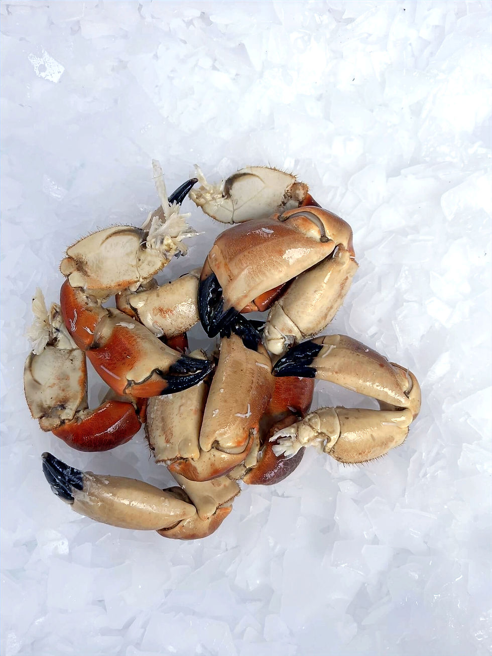 cooked crab claws clark seafoods
