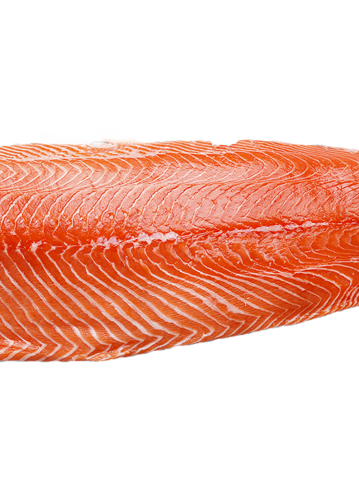Raw salmon fillet close-up. whitefish smoked fish shellfish, seafood products background.