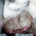 Monkfish in Ice packed by clark seafoods