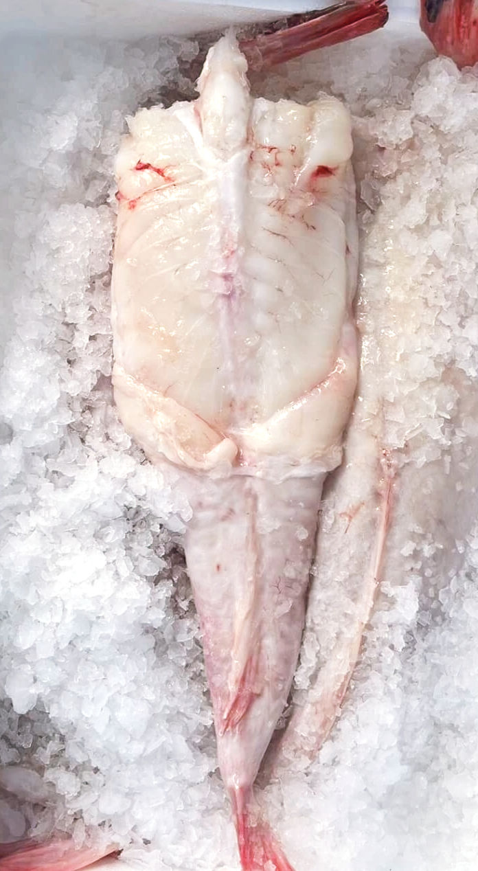 monkfish tails clark seafoods