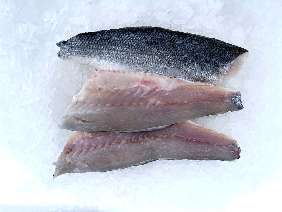 seabass supplied by clark seafoods