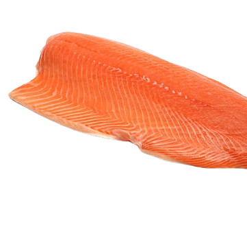 fresh salmon