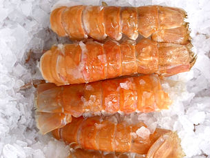 langoustine tails clark seafoods