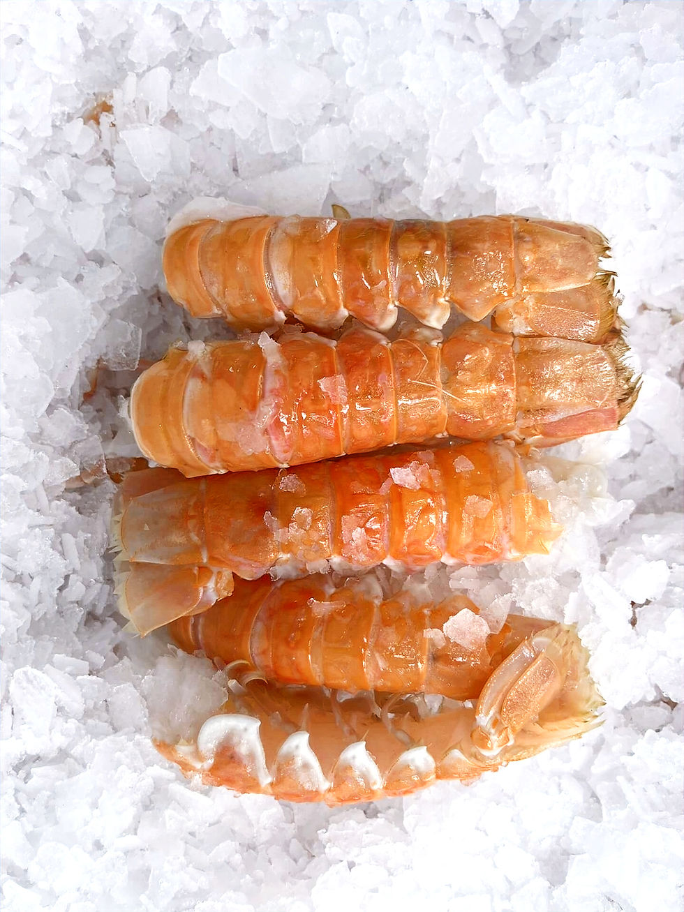 prawn tails by clark seafoods