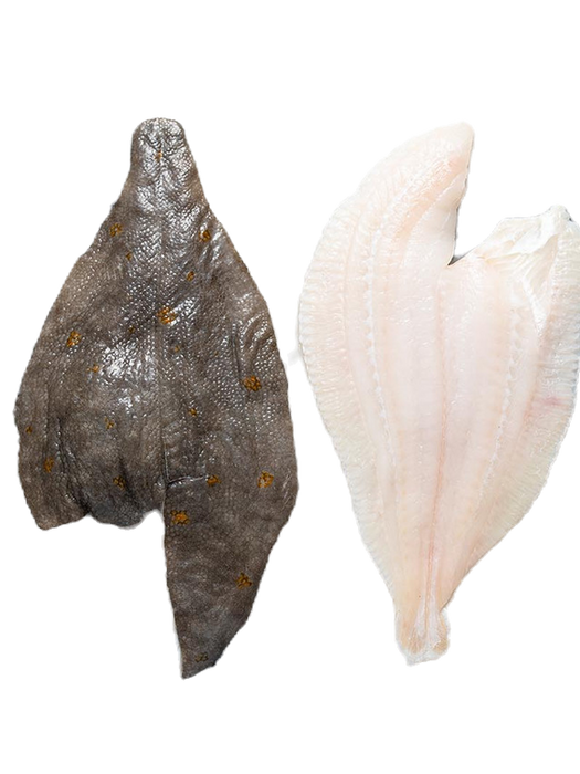 Two pieces of raw fish with different colors, whitefish smoked fish shellfish