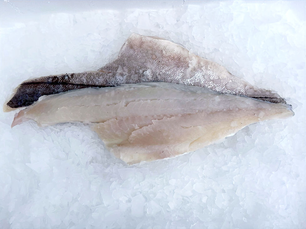 haddock single fillets clark seafoods