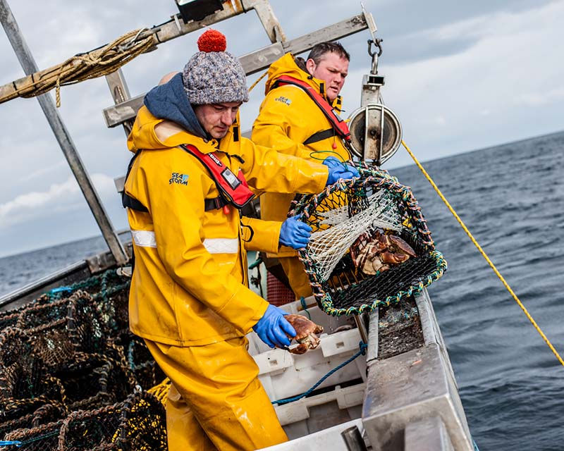 fish supplier near me uk