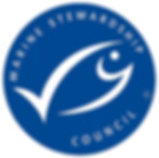 MSC Clark seafoods