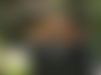 911 Lone Star 4x17 ‘Best of Men,’ & 4x18 ‘In Sickness and in Health,’ Recap/Review 