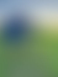 Gjødsl bedre med KI og data fra NM