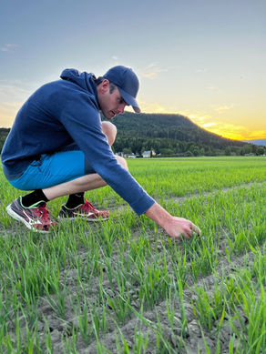 Gjødsl bedre med KI og data fra NM