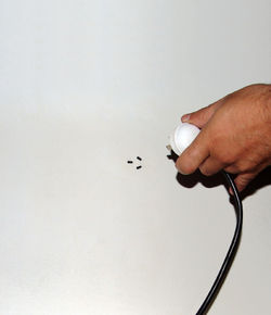 Wall-Outlet Detail. Celi's Design.