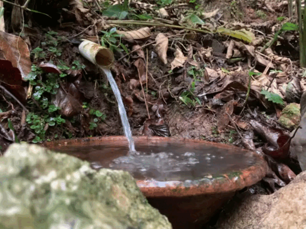 nascente.gif