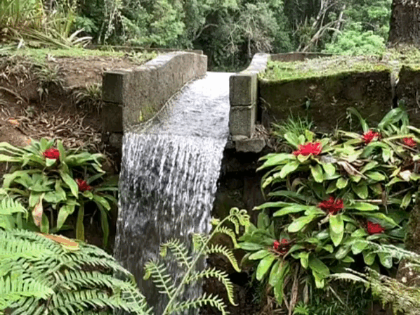 cachoeira (2).gif