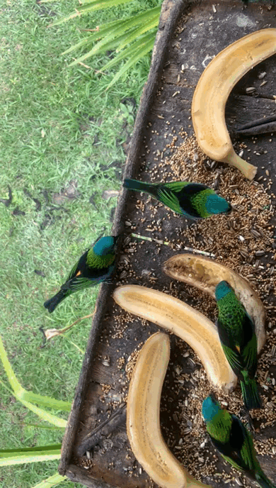 WhatsApp Video 2022-02-08 at 14.33.25.gif