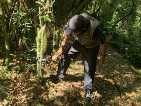 Parceria com programa viabiliza monitoramento de fauna no Observatório