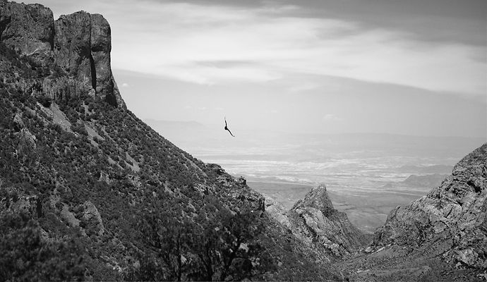 BigBend_001_d_edited.jpg
