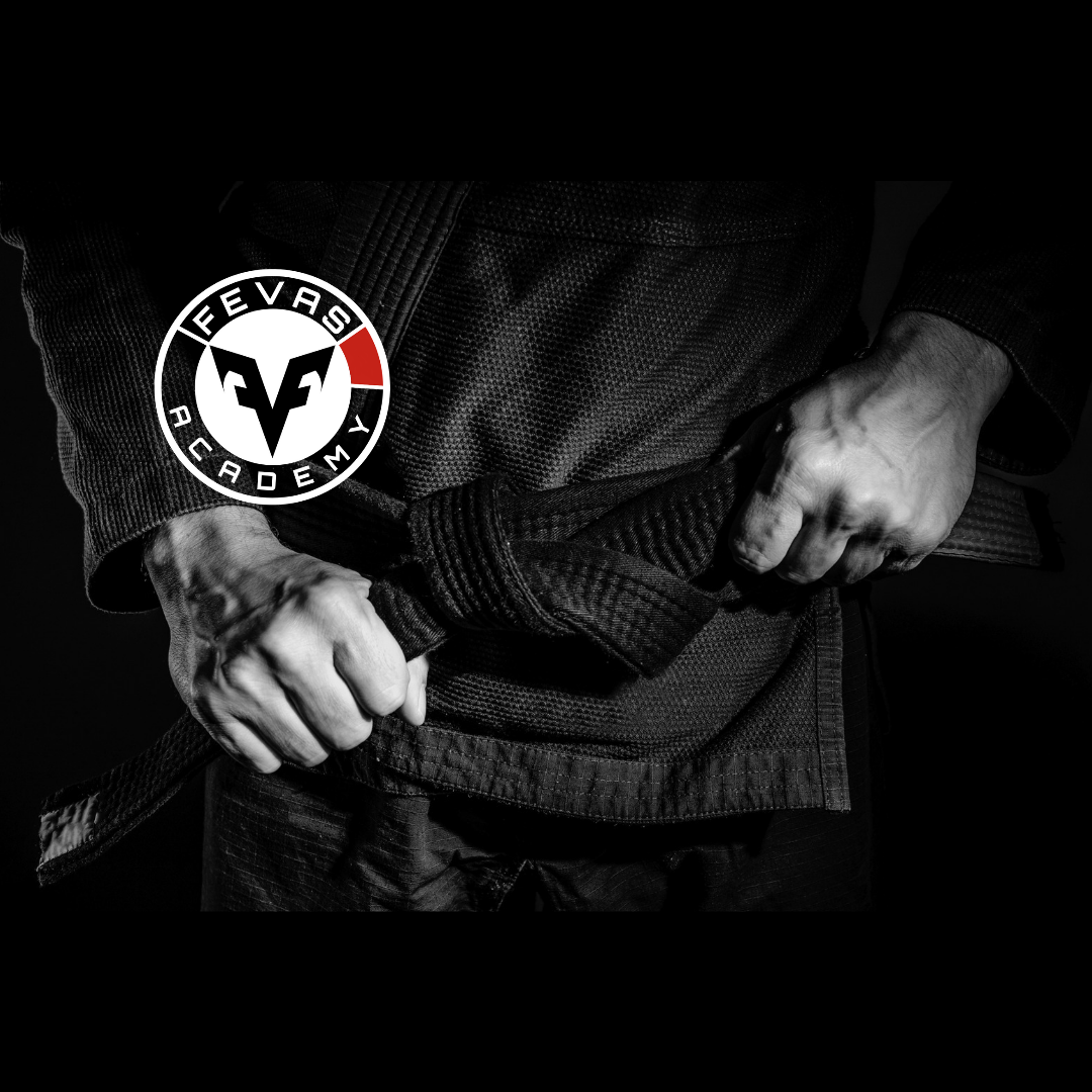 FEVAS Academy facility image