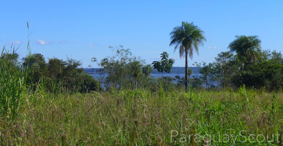 Grundstückskauf Paraguay