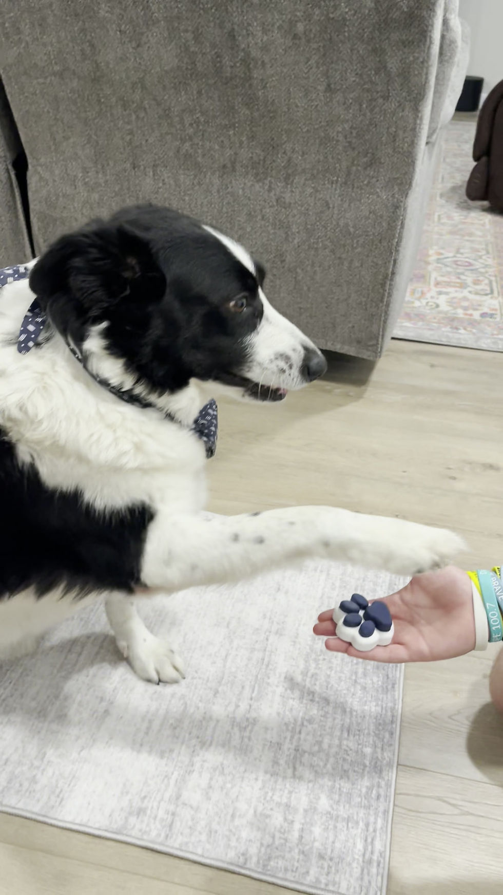 Thumbnail: Paw fidget clicker 