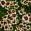 Thumbnail: Coreopsis "Ice Wine" (Fluffy Growers Bunch)