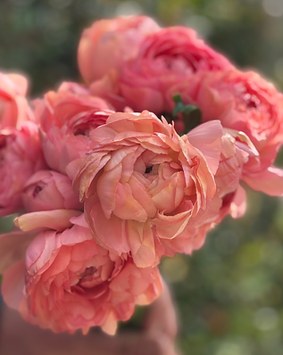 Screenshot 2025-09-08 at 4.17.43 PM.png