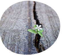 סגנונות ליווי.png