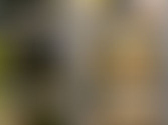 Lyons Hall, other buildings damaged in Blizzard of 2022