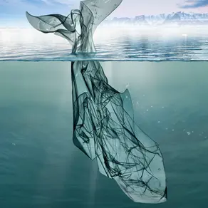 "Plastic" Sustainable Scent 