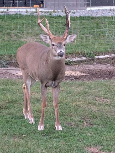 83e0407b-d41f-4c66-8de4-0c8f291d3ab8-1_all_829