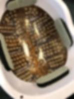 Thumbnail: Neuradiant 1070 IR helmet - rental