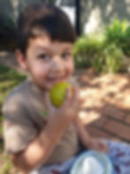 Sprout Kids 33