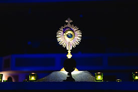 DSC02411 - Copy.jpg