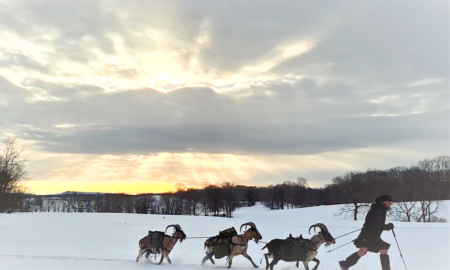 Snow Trek 2025