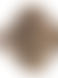 Magyarul elolvasható jelmontázs a Vijaya Bhaarati által közölt Indus-völgyi pecsétnyomón (Varga Géza tanulmánya)