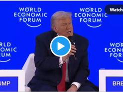 Trump: A Covid egy katonai művelet volt (Rhoda Wilson jegyzete)