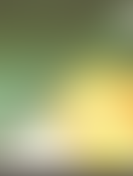 NARANCSTEKE ‒ Gyimóthy Gábor festmények ihlette versei (6/8) 