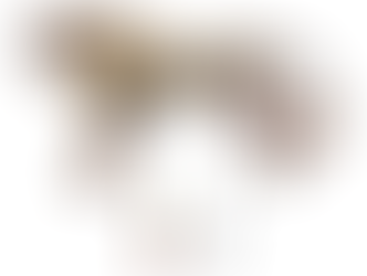 A Jalpug tavi hun kincsek hieroglifái (Varga Géza tanulmánya)