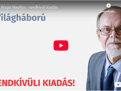 Egy Bogár Naplója ‒ rendkívüli kiadás. Egy világháború tektonikai mélyszerkezete. Nincs tovább!